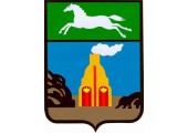 Такси Новосибирск - Барнаул